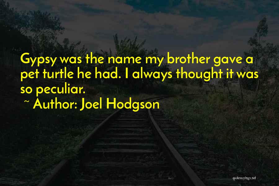 Joel Hodgson Quotes: Gypsy Was The Name My Brother Gave A Pet Turtle He Had. I Always Thought It Was So Peculiar.