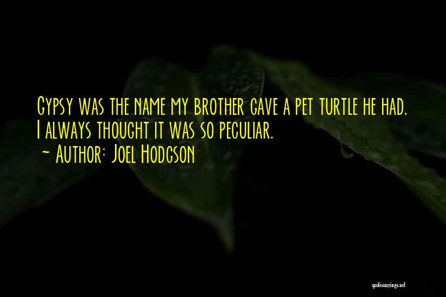 Joel Hodgson Quotes: Gypsy Was The Name My Brother Gave A Pet Turtle He Had. I Always Thought It Was So Peculiar.