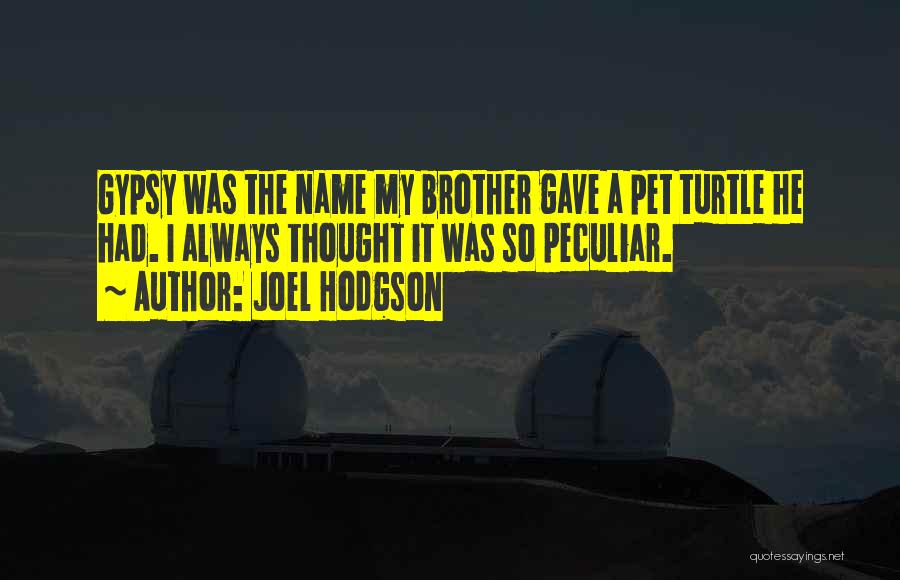 Joel Hodgson Quotes: Gypsy Was The Name My Brother Gave A Pet Turtle He Had. I Always Thought It Was So Peculiar.