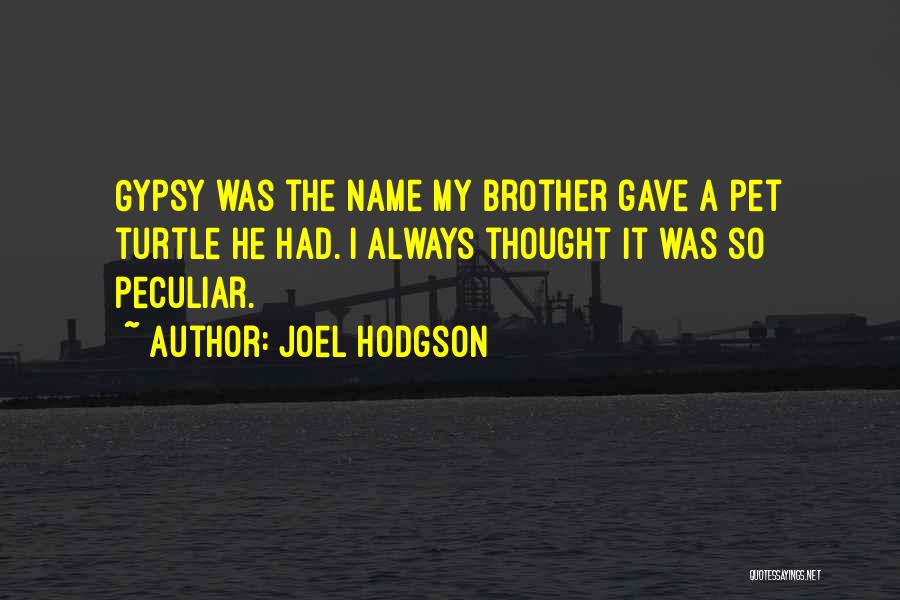 Joel Hodgson Quotes: Gypsy Was The Name My Brother Gave A Pet Turtle He Had. I Always Thought It Was So Peculiar.