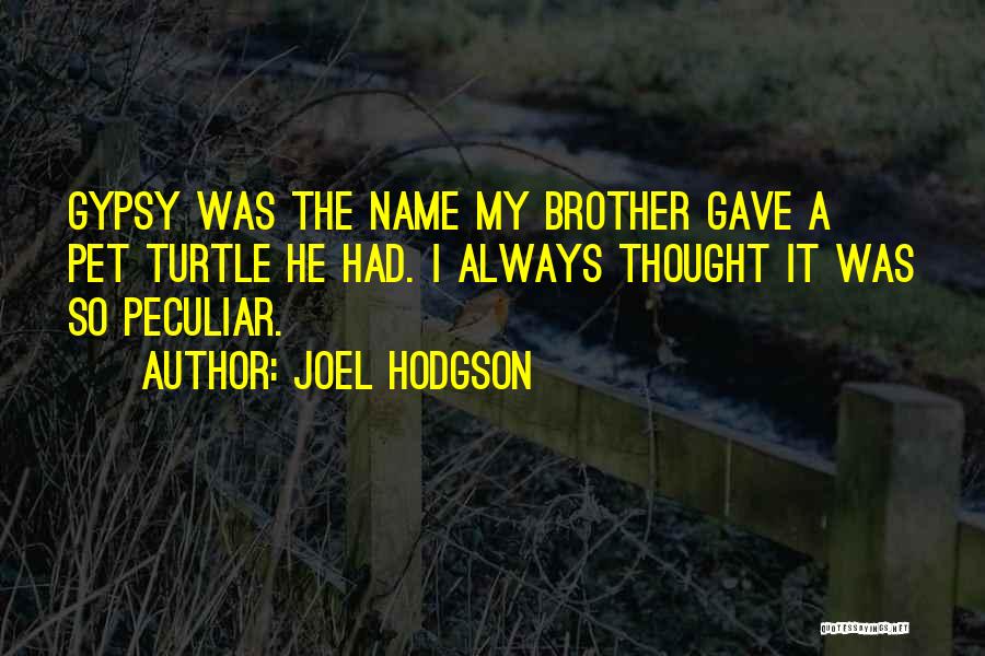 Joel Hodgson Quotes: Gypsy Was The Name My Brother Gave A Pet Turtle He Had. I Always Thought It Was So Peculiar.