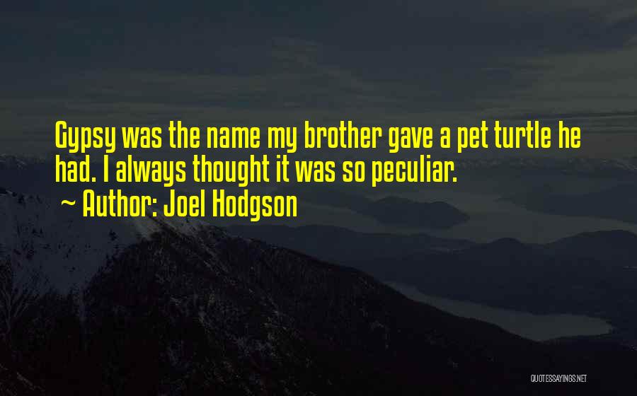 Joel Hodgson Quotes: Gypsy Was The Name My Brother Gave A Pet Turtle He Had. I Always Thought It Was So Peculiar.