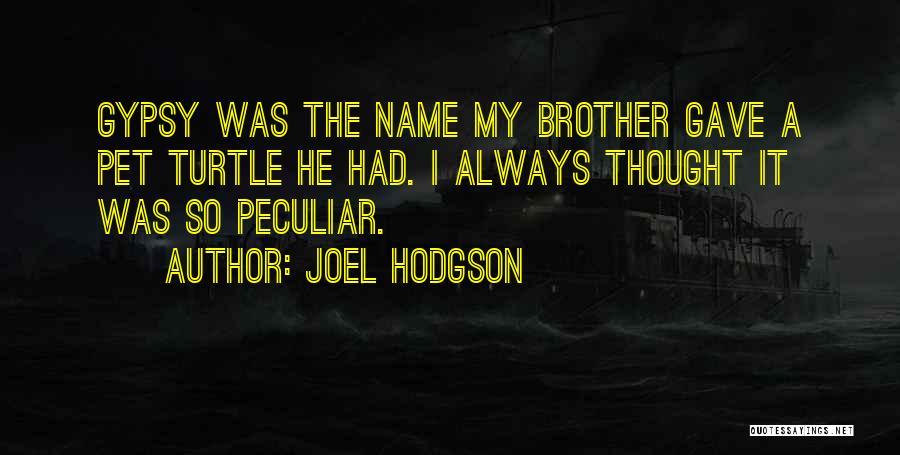 Joel Hodgson Quotes: Gypsy Was The Name My Brother Gave A Pet Turtle He Had. I Always Thought It Was So Peculiar.