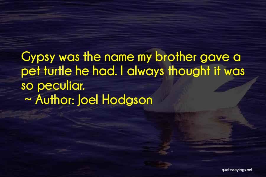 Joel Hodgson Quotes: Gypsy Was The Name My Brother Gave A Pet Turtle He Had. I Always Thought It Was So Peculiar.