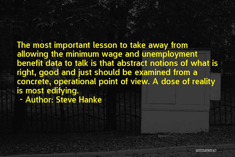 Steve Hanke Quotes: The Most Important Lesson To Take Away From Allowing The Minimum Wage And Unemployment Benefit Data To Talk Is That