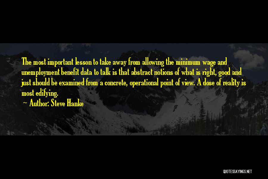 Steve Hanke Quotes: The Most Important Lesson To Take Away From Allowing The Minimum Wage And Unemployment Benefit Data To Talk Is That