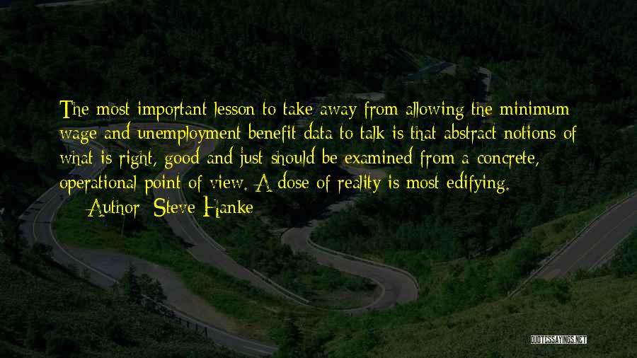 Steve Hanke Quotes: The Most Important Lesson To Take Away From Allowing The Minimum Wage And Unemployment Benefit Data To Talk Is That