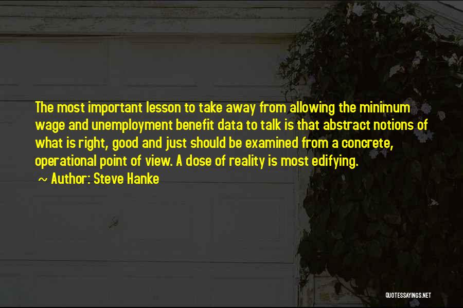 Steve Hanke Quotes: The Most Important Lesson To Take Away From Allowing The Minimum Wage And Unemployment Benefit Data To Talk Is That