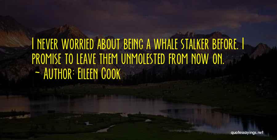 Eileen Cook Quotes: I Never Worried About Being A Whale Stalker Before. I Promise To Leave Them Unmolested From Now On.