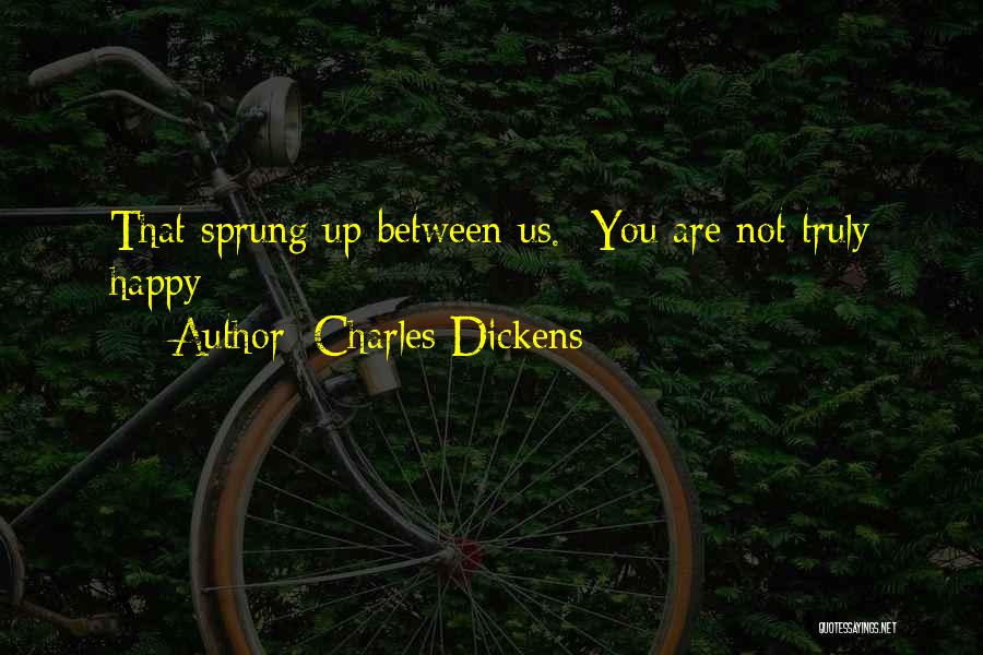 Charles Dickens Quotes: That Sprung Up Between Us. You Are Not Truly Happy