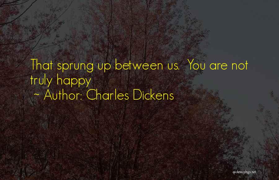 Charles Dickens Quotes: That Sprung Up Between Us. You Are Not Truly Happy