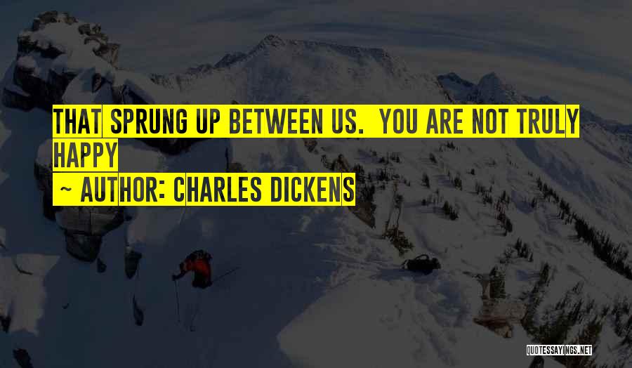 Charles Dickens Quotes: That Sprung Up Between Us. You Are Not Truly Happy