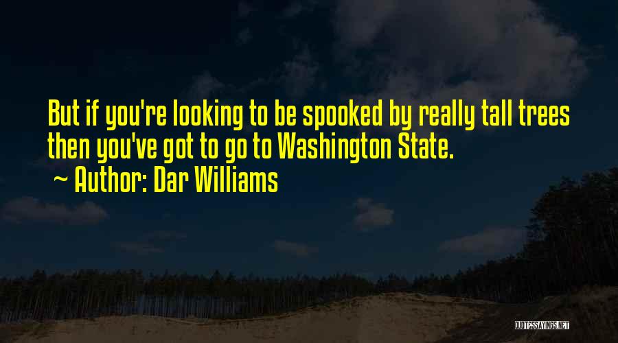 Dar Williams Quotes: But If You're Looking To Be Spooked By Really Tall Trees Then You've Got To Go To Washington State.