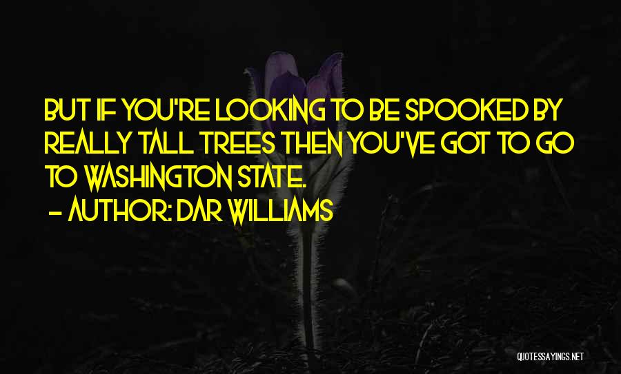Dar Williams Quotes: But If You're Looking To Be Spooked By Really Tall Trees Then You've Got To Go To Washington State.