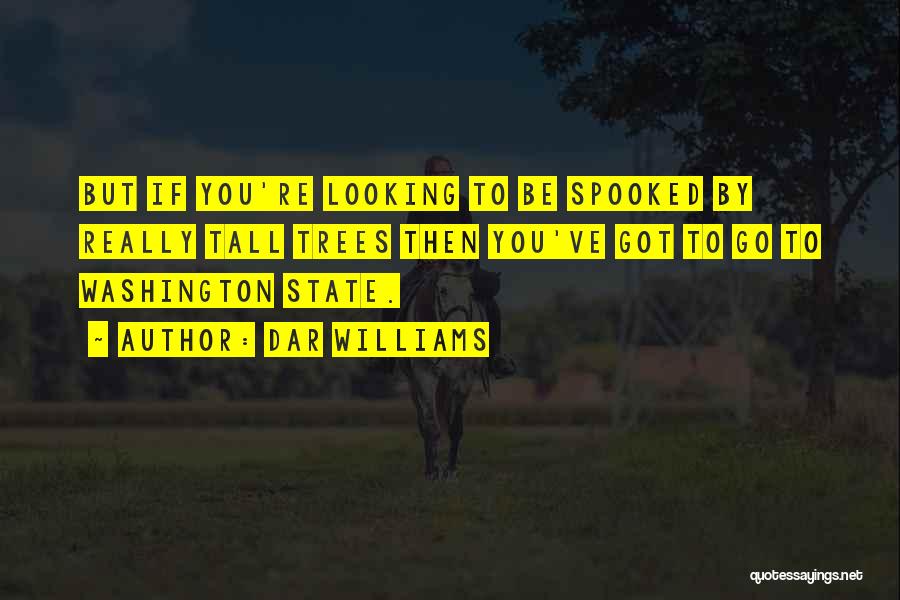 Dar Williams Quotes: But If You're Looking To Be Spooked By Really Tall Trees Then You've Got To Go To Washington State.
