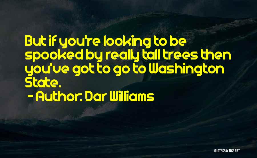 Dar Williams Quotes: But If You're Looking To Be Spooked By Really Tall Trees Then You've Got To Go To Washington State.