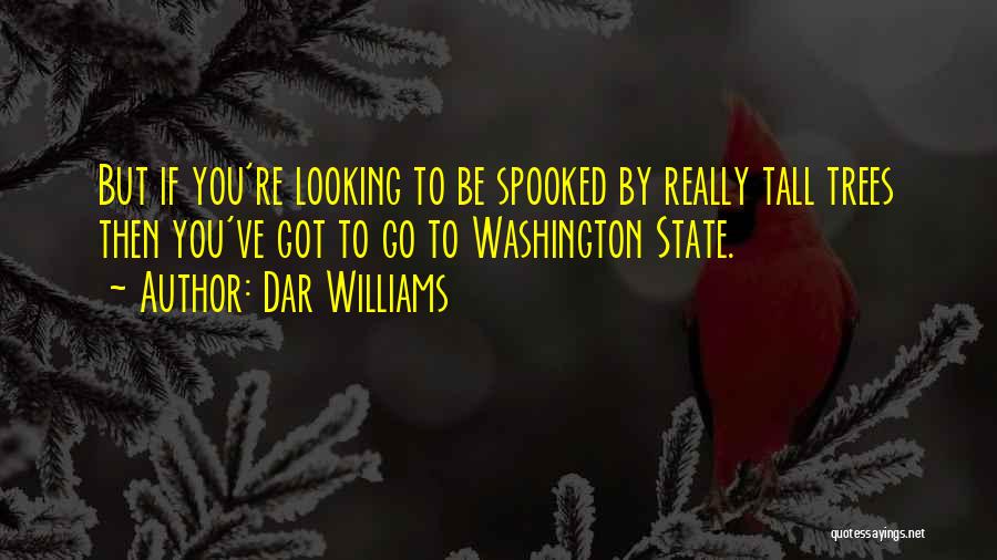 Dar Williams Quotes: But If You're Looking To Be Spooked By Really Tall Trees Then You've Got To Go To Washington State.