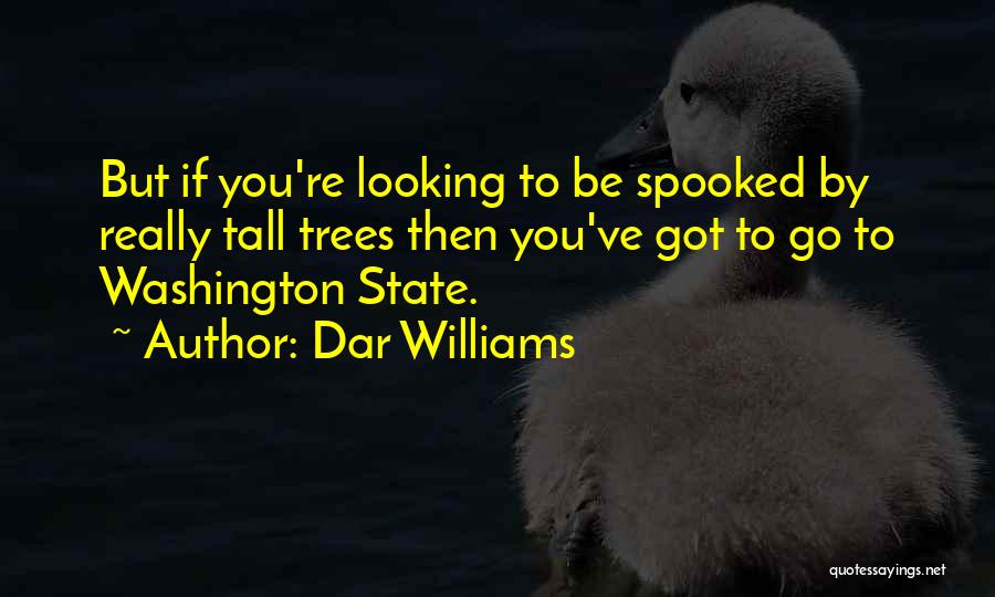 Dar Williams Quotes: But If You're Looking To Be Spooked By Really Tall Trees Then You've Got To Go To Washington State.