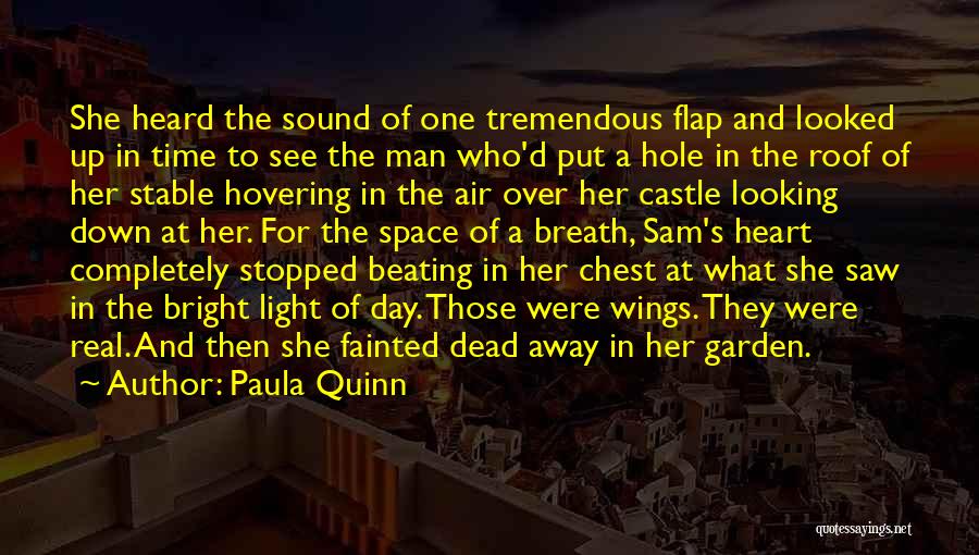 Paula Quinn Quotes: She Heard The Sound Of One Tremendous Flap And Looked Up In Time To See The Man Who'd Put A