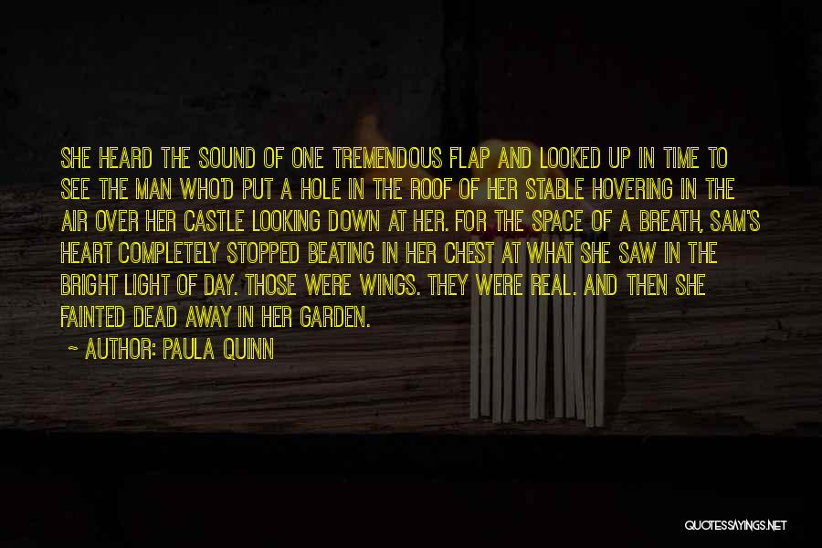 Paula Quinn Quotes: She Heard The Sound Of One Tremendous Flap And Looked Up In Time To See The Man Who'd Put A