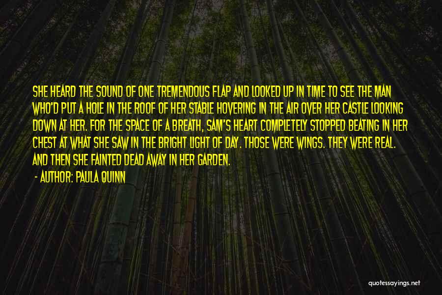 Paula Quinn Quotes: She Heard The Sound Of One Tremendous Flap And Looked Up In Time To See The Man Who'd Put A
