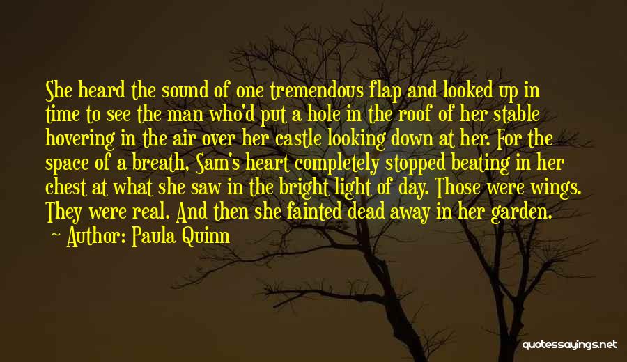 Paula Quinn Quotes: She Heard The Sound Of One Tremendous Flap And Looked Up In Time To See The Man Who'd Put A