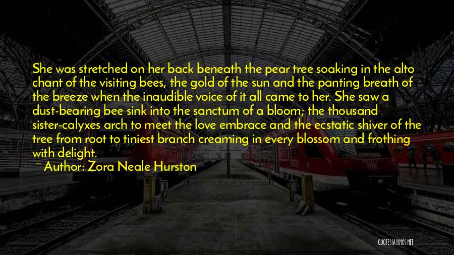 Zora Neale Hurston Quotes: She Was Stretched On Her Back Beneath The Pear Tree Soaking In The Alto Chant Of The Visiting Bees, The