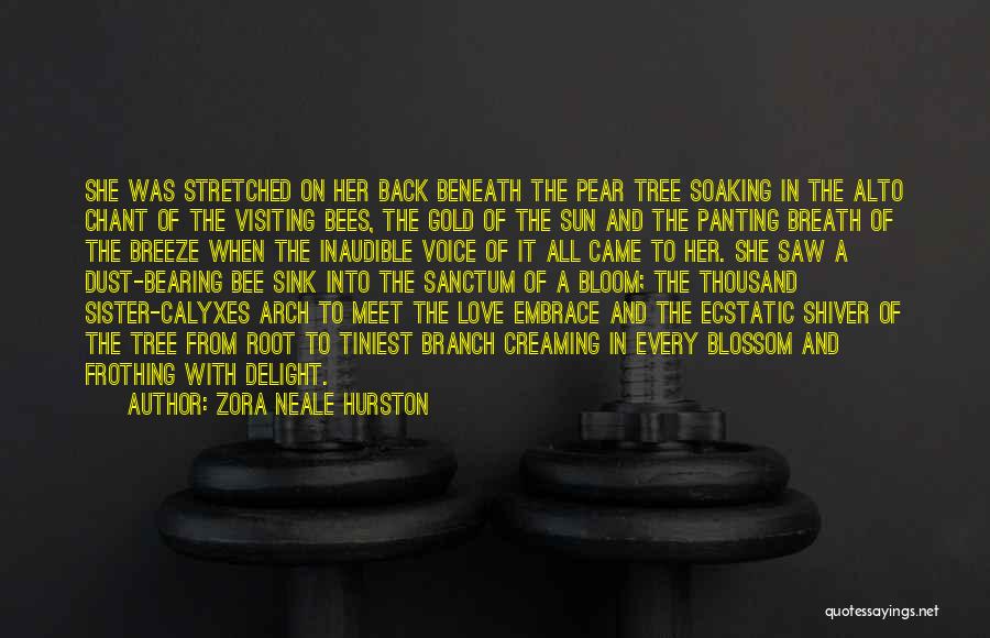 Zora Neale Hurston Quotes: She Was Stretched On Her Back Beneath The Pear Tree Soaking In The Alto Chant Of The Visiting Bees, The