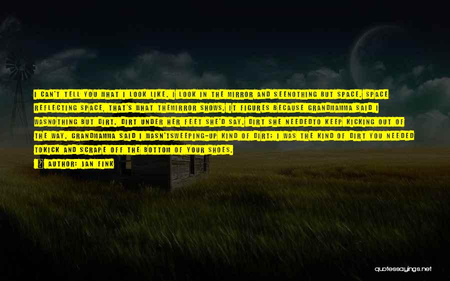 Jan Fink Quotes: I Can't Tell You What I Look Like. I Look In The Mirror And Seenothing But Space. Space Reflecting Space,