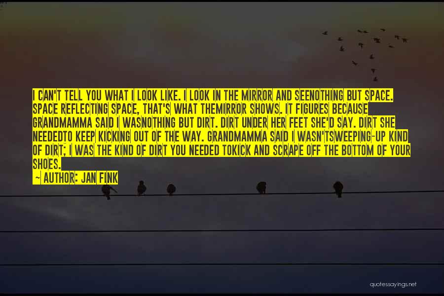 Jan Fink Quotes: I Can't Tell You What I Look Like. I Look In The Mirror And Seenothing But Space. Space Reflecting Space,