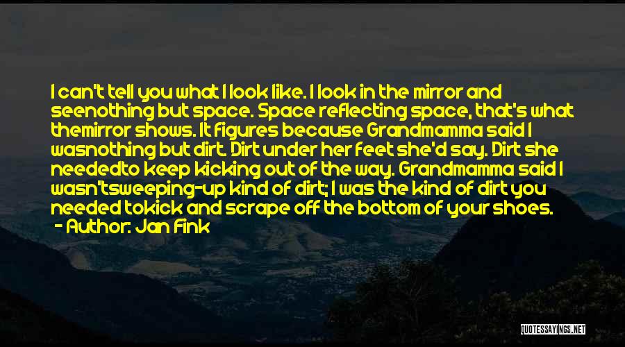 Jan Fink Quotes: I Can't Tell You What I Look Like. I Look In The Mirror And Seenothing But Space. Space Reflecting Space,