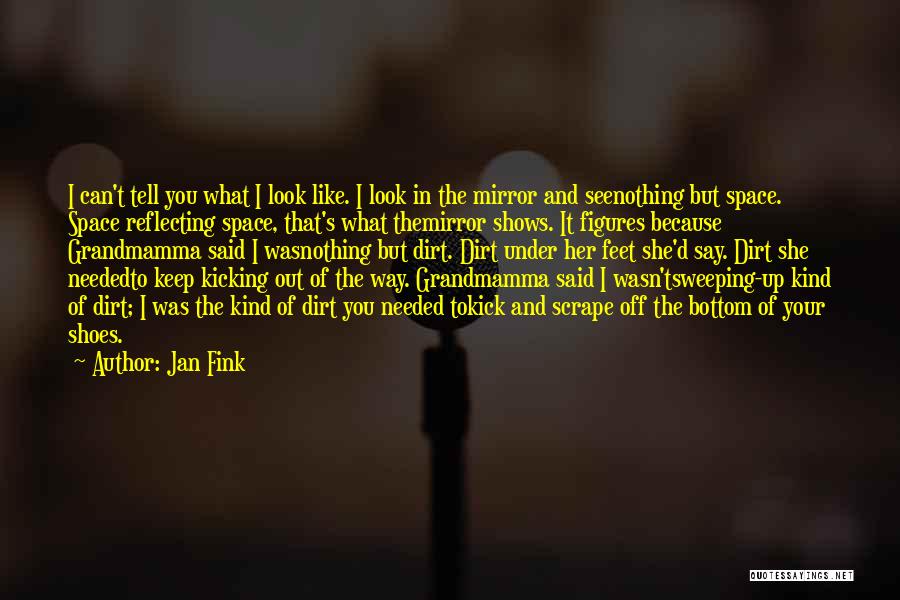 Jan Fink Quotes: I Can't Tell You What I Look Like. I Look In The Mirror And Seenothing But Space. Space Reflecting Space,