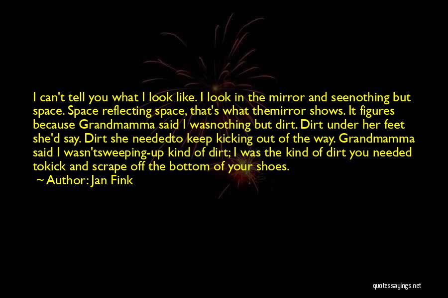 Jan Fink Quotes: I Can't Tell You What I Look Like. I Look In The Mirror And Seenothing But Space. Space Reflecting Space,