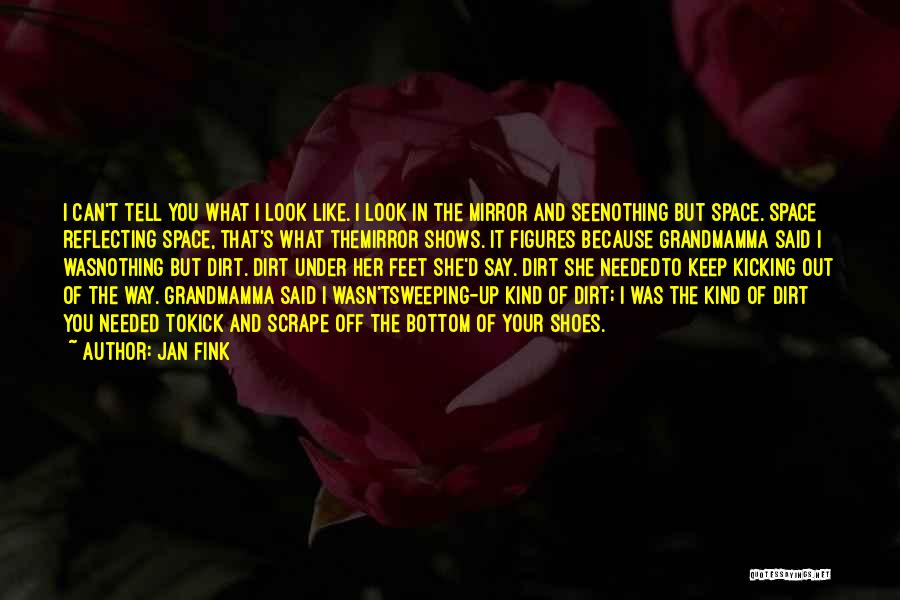 Jan Fink Quotes: I Can't Tell You What I Look Like. I Look In The Mirror And Seenothing But Space. Space Reflecting Space,