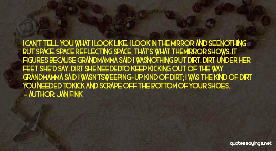 Jan Fink Quotes: I Can't Tell You What I Look Like. I Look In The Mirror And Seenothing But Space. Space Reflecting Space,