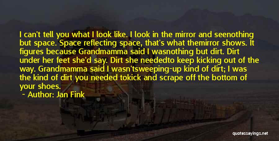 Jan Fink Quotes: I Can't Tell You What I Look Like. I Look In The Mirror And Seenothing But Space. Space Reflecting Space,