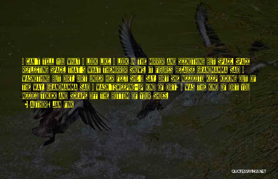 Jan Fink Quotes: I Can't Tell You What I Look Like. I Look In The Mirror And Seenothing But Space. Space Reflecting Space,