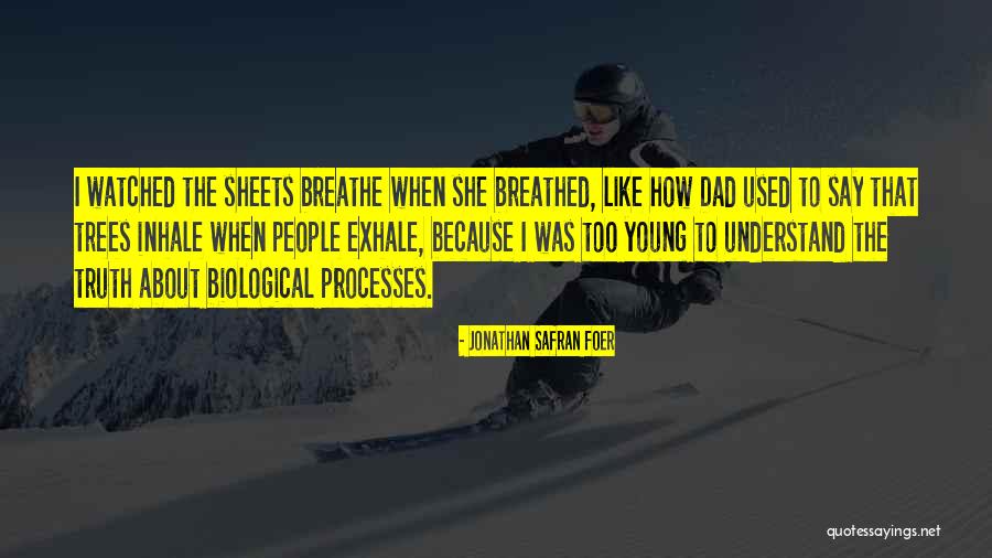 365 Gathered Truths Quotes By Jonathan Safran Foer 365 Gathered Truths Quotes By Jonathan Safran Foer