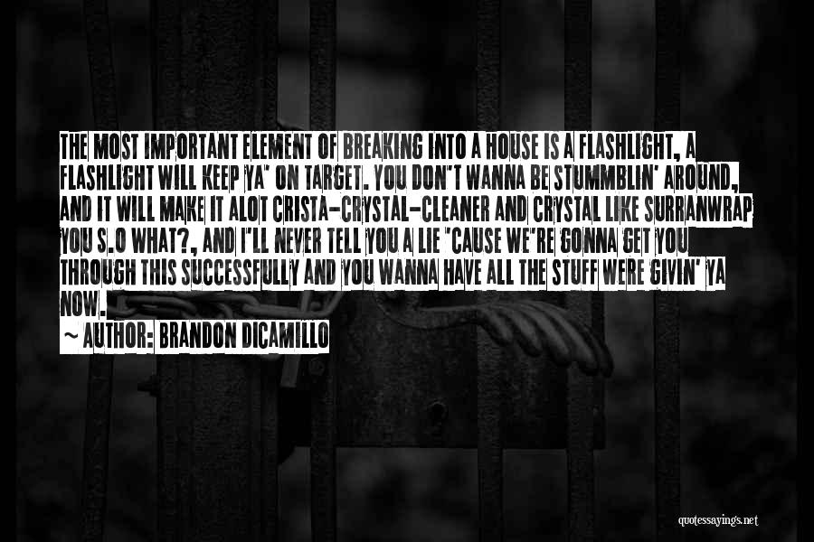 Brandon DiCamillo Quotes: The Most Important Element Of Breaking Into A House Is A Flashlight, A Flashlight Will Keep Ya' On Target. You