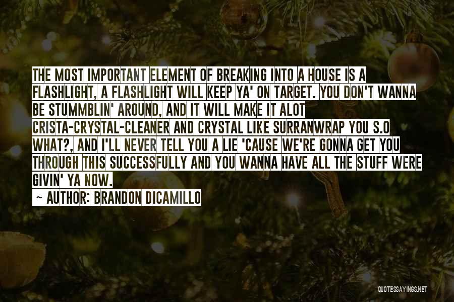 Brandon DiCamillo Quotes: The Most Important Element Of Breaking Into A House Is A Flashlight, A Flashlight Will Keep Ya' On Target. You