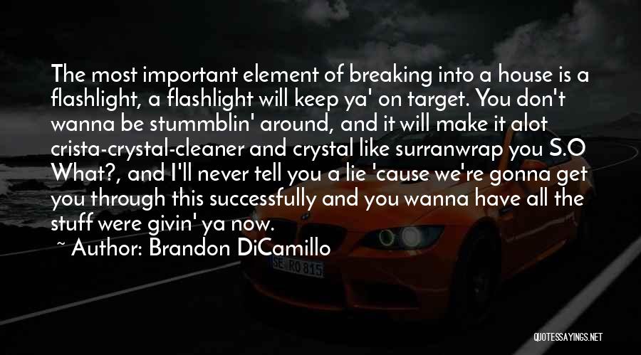 Brandon DiCamillo Quotes: The Most Important Element Of Breaking Into A House Is A Flashlight, A Flashlight Will Keep Ya' On Target. You