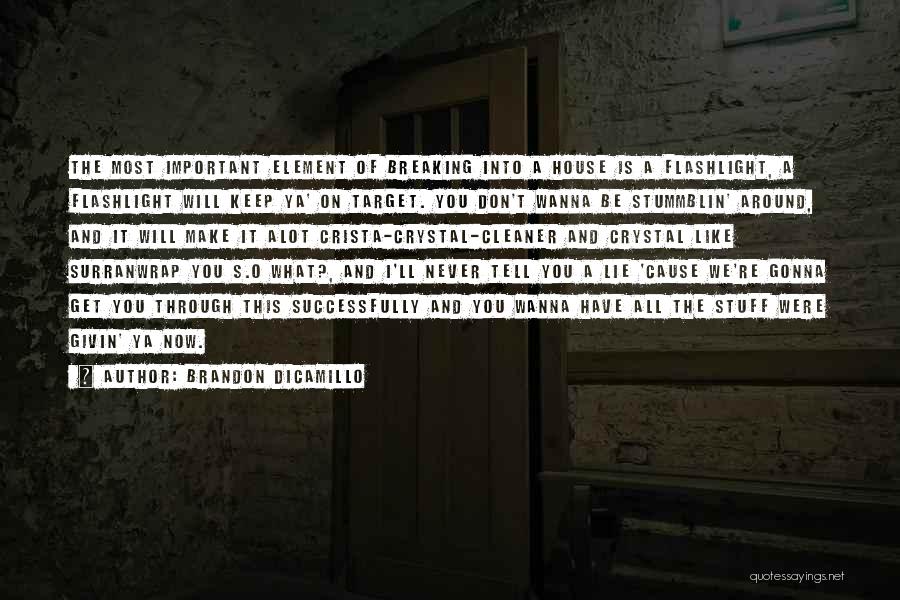 Brandon DiCamillo Quotes: The Most Important Element Of Breaking Into A House Is A Flashlight, A Flashlight Will Keep Ya' On Target. You