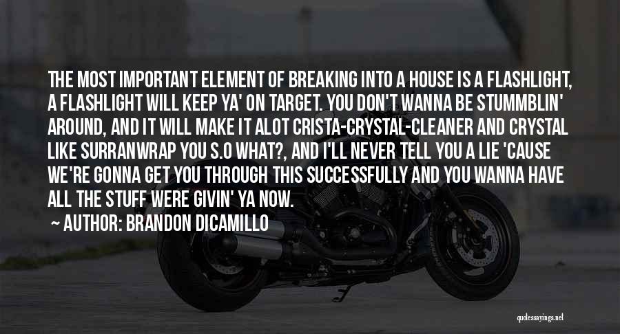 Brandon DiCamillo Quotes: The Most Important Element Of Breaking Into A House Is A Flashlight, A Flashlight Will Keep Ya' On Target. You