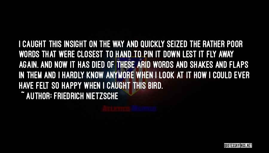 Friedrich Nietzsche Quotes: I Caught This Insight On The Way And Quickly Seized The Rather Poor Words That Were Closest To Hand To