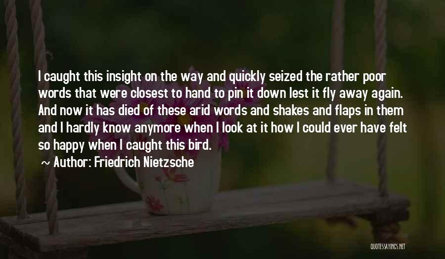 Friedrich Nietzsche Quotes: I Caught This Insight On The Way And Quickly Seized The Rather Poor Words That Were Closest To Hand To