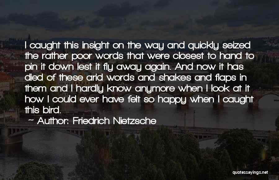 Friedrich Nietzsche Quotes: I Caught This Insight On The Way And Quickly Seized The Rather Poor Words That Were Closest To Hand To
