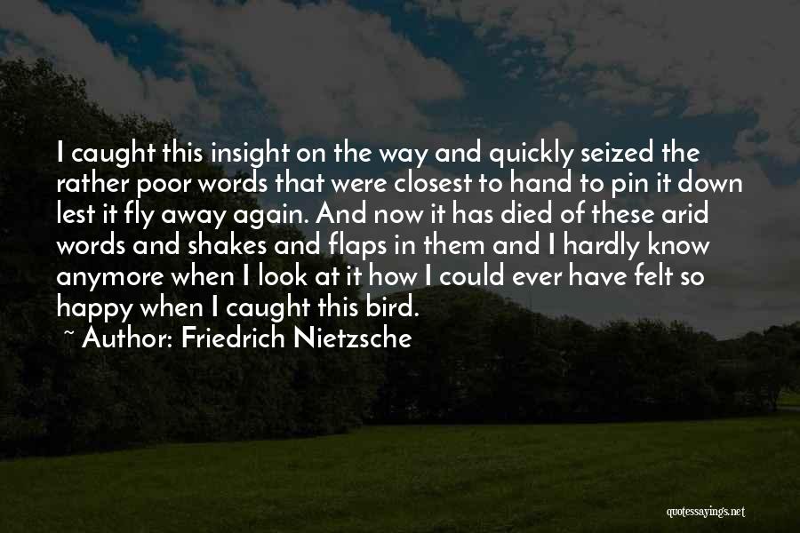Friedrich Nietzsche Quotes: I Caught This Insight On The Way And Quickly Seized The Rather Poor Words That Were Closest To Hand To