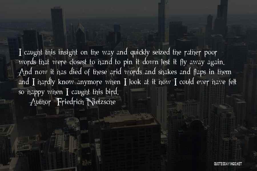 Friedrich Nietzsche Quotes: I Caught This Insight On The Way And Quickly Seized The Rather Poor Words That Were Closest To Hand To