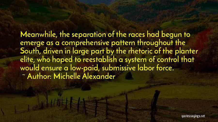 Michelle Alexander Quotes: Meanwhile, The Separation Of The Races Had Begun To Emerge As A Comprehensive Pattern Throughout The South, Driven In Large