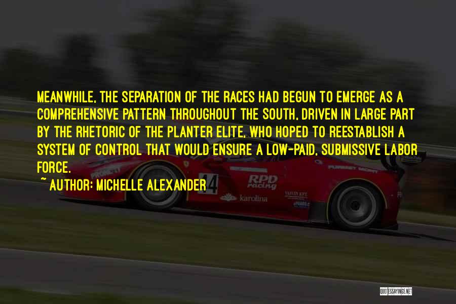 Michelle Alexander Quotes: Meanwhile, The Separation Of The Races Had Begun To Emerge As A Comprehensive Pattern Throughout The South, Driven In Large